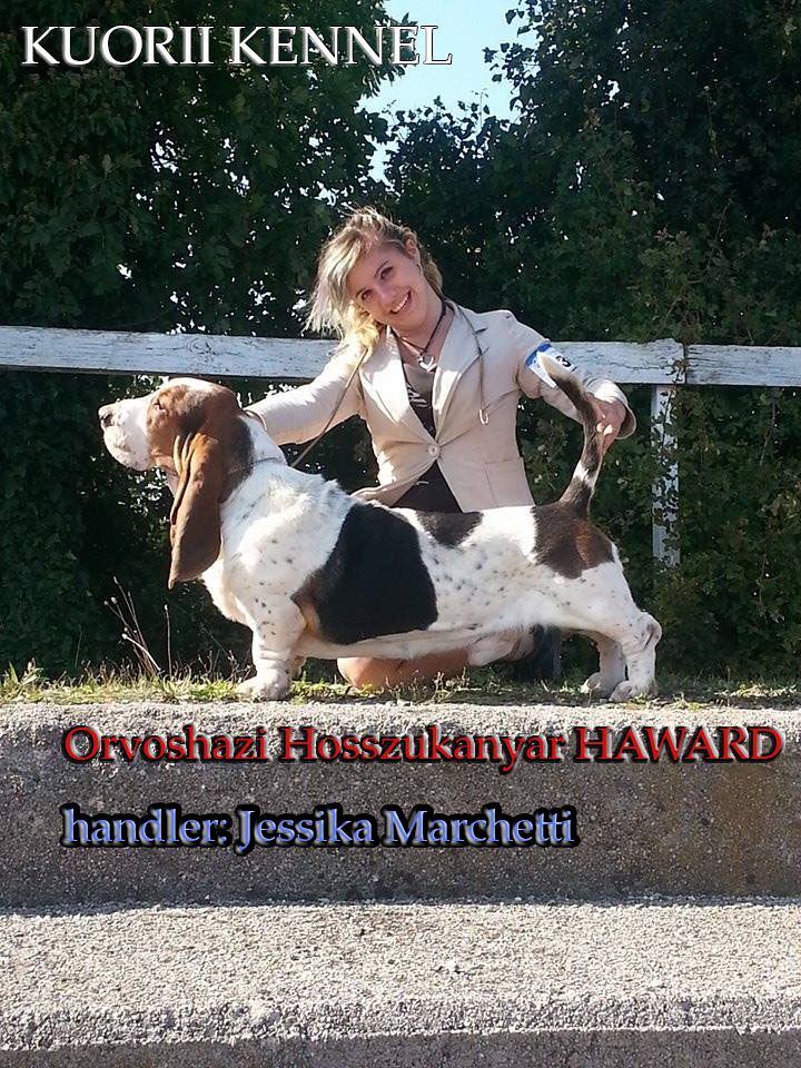 Haward & Jessika