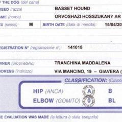 haward-risultato