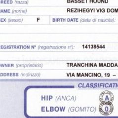 regina-risultato