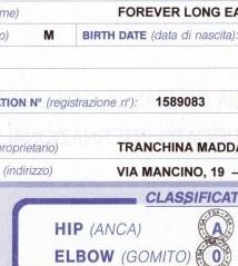 rico-risultato